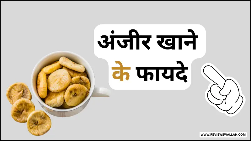 अंजीर खाने के फायदे - फाइबर, आयरन और एंटीऑक्सीडेंट से भरपूर अंजीर के स्वास्थ्य लाभ