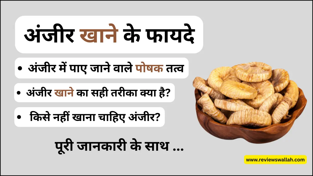 अंजीर खाने के फायदे 2025 - सेहत, पाचन और कमजोरी दूर करने वाला देसी सुपरफूड