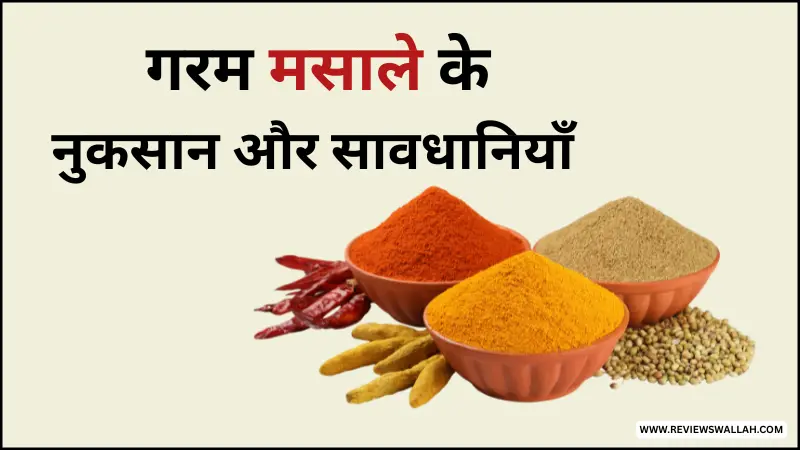 गरम मसाले के अधिक सेवन से होने वाले नुकसान और जरूरी सावधानियाँ