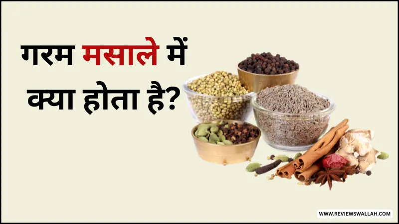 गरम मसाले में क्या-क्या होता है – जानिए दालचीनी, लौंग, इलायची, जीरा जैसे मुख्य मसाले और उनके फायदे