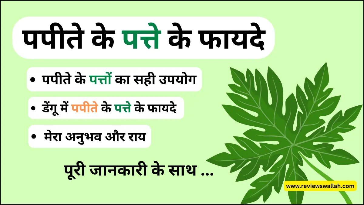 पपीते के पत्तों के फायदे – प्लेटलेट्स बढ़ाने, डेंगू में राहत और इम्यूनिटी मजबूत करने वाला आयुर्वेदिक उपाय
