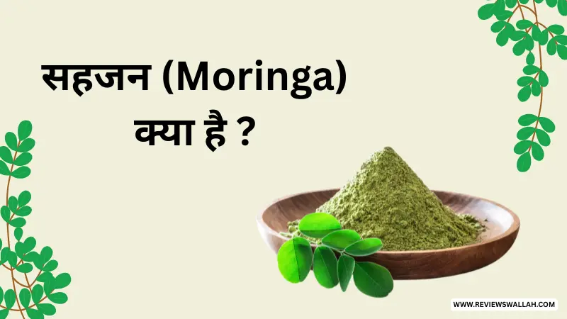 सहजन (Moringa) क्या है? और इसे सुपरफूड क्यों कहा जाता है, यह दर्शाती फोटो