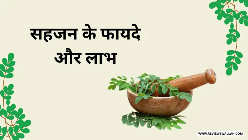 सहजन के फायदे: Moringa खाने से शरीर को क्या लाभ होते हैं