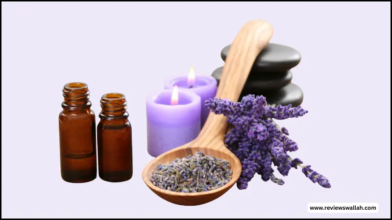 लैवेंडर ऑयल क्या है? इसके फायदे और उपयोग जानें